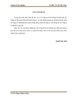 Phát triển hoạt động quảng cáo tại công ty TNHH MTVLân đỗ 