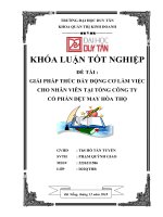 GIẢI PHÁP THÚC đẩy ĐỘNG cơ làm VIỆC CHO NHÂN VIÊN tại TỔNG CÔNG TY cổ PHẦN dệt MAY hòa THỌ 