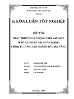 PHÁT TRIỂN HOẠT ĐỘNG CHO VAY MUA ô tô cá NHÂN tại NGÂN HÀNG CÔNG THƯƠNG CHI NHÁNH bắc đà NẴNG 