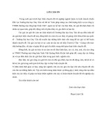 Giải pháp nâng cao chất lượng dịch vụ tại công ty TNHH Thương Mại tổng hợp Tuấn Việt Quảng Bình