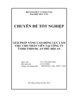 GIẢI PHÁP NÂNG CAO ĐỘNG lực làm VIỆC CHO NHÂN VIÊN tại CÔNG TY TNHH TMDVDL AN PHÚ hội AN 