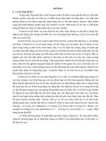 Xác định hàm lượng vitamin d3 trong một số sản phẩm thực phẩm và vitamin b2 trong nấm bằng phương pháp sắc kí lỏng hiệu năng cao (HPLC)