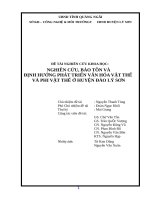 ĐỀ TÀI NGHIÊN CỨU KHOA HỌC: NGHIÊN CỨU, BẢO TỒN VÀĐỊNH HƯỚNG PHÁT TRIỂN VĂN HÓA VẬT THỂ VÀ PHI VẬT THỂ Ở HUYỆN ĐẢO LÝ SƠN