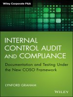 Internal Control Audit and Compliance: Documentation and Testing Under the New COSO Framework (Wiley Corporate FA)