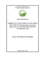 Nghiên cứu tuyển chọn cây đầu dòng loài tre mai (dendrocalamus yunnanicushsueh et d  z  li) ở tỉnh thái nguyên và tỉnh bắc kạn 