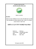 Khảo sát quy trình sản xuất chả giò xiên que tại nhà máy chế biến sản phẩm thịt hà nội   công ty cổ phần chăn nuôi c p việt nam 