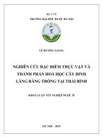 Nghiên cứu đặc điểm thực vật và thành phần hóa học cây Đinh lăng răng trồng tại Thái Bình