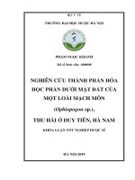 Nghiên cứu thành phần hóa học phần dưới mặt đất của một loài Mạch môn (Ophiopogon sp.) thu hái ở Duy Tiên, Hà Nam