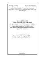 NGHIÊN CỨU QUY TRÌNH CÔNG NGHỆ TẠO CHẾ PHẨM PHÒNG CHỐNG KHỐI U TỪ CÂY HOÀN NGỌC PSEUDERANTHEMUM PALATIFERUM (NEES) RALDK