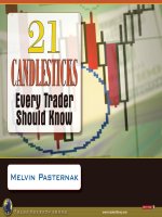 21 candlesticks every trader should know