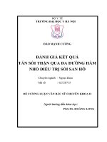 ĐÁNH GIÁ kết QUẢ tán sỏi THẬN QUA DA ĐƯỜNG hầm NHỎ điều TRỊ sỏi SAN hô 