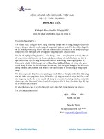 Mau don xin viec danh cho sinh vien moi ra truong 