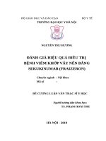 ĐÁNH GIÁ HIỆU QUẢ điều TRỊ BỆNH VIÊM KHỚP vẩy nến BẰNG SEKUKINUMAB (FRAIZERON) 