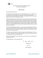 Mau don xin viec danh cho nguoi da co kinh nghiem tieng viet 