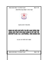 Đánh giá hiệu quả điều trị rối loạn trầm cảm bằng liệu pháp kích hoạt hành vi kết hợp với amitriptyline tại 4 xãphường, tỉnh Khánh Hòa