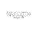 XÂY DỰNG và sử DỤNG câu hỏi cốt lõi  TRONG dạy học các CHỦ đề cơ CHẾ DI TRUYỀN  BIẾN dị và các QUY LUẬT DT SINH học 12 THPT