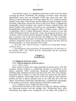 Nghiên cứu đặc điểm lâm sàng, cắt lớp vi tính, và mối liên quan của một số yếu tố tiên lượng với kết quả điều trị của ung thư hạ họng tt tiếng anh 