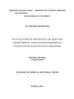 Đánh giá kết quả điều trị bổ trợ phác đồ FOLFOX4 trong ung thư biểu mô tuyến đại tràng giai đoạn III tt tiếng anh 