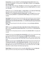 Tổng hợp kiến thức về tất các tác giả văn học cấp 3