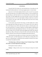 Giải pháp nâng cao hiệu quả sử dụng vốn tại chi nhánh công ty TNHH MTV dịch vụ lữ hành saigontourist tại đà nẵng