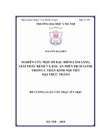 NGHIÊN CỨU MỘT SỐ ĐẶC ĐIỂM LÂM SÀNG, GIẢI PHẪU BỆNH VÀ DẤU ẤN MIỄN DỊCH SATB2 TRONG U THẦN KINH NỘI TIẾT ĐẠI TRỰC TRÀNG