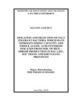 Phân lập và tuyển chọn vi khuẩn chịu mặn có khả năng cố định đạm, tổng hợp INDOLE ACETIC ACID trên mô hình canh tác lúa – tôm ở bạc liêu, sóc trăng và kiên giang tt tiếng anh 