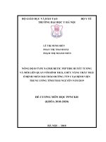 NỒNG ĐỘ B-TYPE NATRIURETIC PEPTIDE HUYẾT TƯƠNG VÀ MỐI LIÊN QUAN VỚI HÌNH THÁI, CHỨC NĂNG THẤT TRÁI Ở BỆNH NHÂN ĐÁI THÁO ĐƯỜNG TÝP 2 TẠI BỆNH VIỆN TRUNG ƯƠNG TỈNH THÁI NGUYÊN NĂM 2019