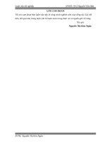 Giải pháp phát triển dịch vụ ngân hàng bán lẻ tại ngân hàng  đầu tư và phát triển việt nam (BIDV) chi nhánh hải VânOK