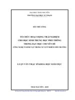 Tổ chức hoạt động trải nghiệm cho học sinh trung học phổ thông trong dạy học chuyên đề công nghệ vi sinh vật trong xử lí ô nhiễm môi trường (Luận văn thạc sĩ)