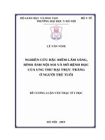 NGHIÊN CỨU ĐẶC ĐIỂM LÂM SÀNG, HÌNH ẢNH NỘI SOI VÀ MÔ BỆNH HỌC CỦA UNG THƯ ĐẠI TRỰC TRÀNG Ở NGƯỜI TRẺ TUỔI