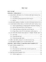 Nghiên cứu ứng dụng chẩn đoán và điều trị u tuyến nước bọt mang tai lành tính bằng phẫu thuật cắt u và tuyến bảo tồn dây thần kinh VII tại Bệnh viện Đa khoa tỉnh Thái Bình năm 2017 - 2018