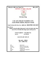 Nghiên cứu giải phẫu động mạch vành trên hình ảnh chụp msct 64 so với hình ảnh chụp mạch vành qua da