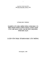 Nghiên cứu đặc điểm nông sinh học và biện pháp nhân giống bằng giâm cành cây chè hoa vàng tại huyện chợ đồn, tỉnh bắc kạn 
