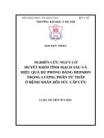 NGHIÊN cứu NGUY cơ HUYẾT KHỐI TĨNH MẠCH sâu và HIỆU QUẢ dự PHÒNG BẰNG HEPARIN TRỌNG LƯỢNG PHÂN tử THẤP ở BỆNH NHÂN hồi sức cấp cứu 
