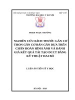 NGHIÊN cứu KÍCH THƯỚC gân cơ THON gân cơ bán gân dựa TRÊN CHẨN đoán HÌNH ẢNH và ĐÁNH GIÁ kết QUẢ tái tạo DCCT BẰNG kỹ THUẬT HAI bó 