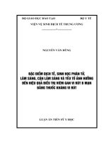 ĐẶC điểm DỊCH tễ, SINH học PHÂN tử, lâm SÀNG, cận lâm SÀNG và yếu tố ẢNH HƯỞNG đến HIỆU QUẢ điều TRỊ VIÊM GAN VI rút b mạn BẰNG THUỐC KHÁNG VI rút 
