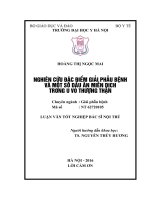 NGHIÊN cứu đặc điểm GIẢI PHẪU BỆNH và một số dấu ấn MIỄN DỊCH TRONG u vỏ THƯỢNG THẬN 