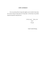 Hiệu quả bổ sung thực phẩm tăng cường vi chất dinh dưỡng cho phụ nữ có thai lên tình trạng dinh dưỡng của mẹ, sự phát triển của trẻ từ sơ sinh đến 6 tháng tuổi 