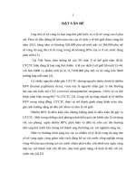 Nghiên cứu đặc điểm mô bệnh học và dấu ấn miễn dịch p16 trong tân sản nội biểu mô cổ tử cung 