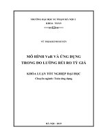 Khoá luận tốt nghiệp mô hình var và ứng dụng trong đo lường rủi ro tỷ giá 