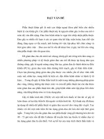 Đánh giá hiệu quả giảm đau sau mổ của gây tê thần kinh đùi bằng truyền liên tục levobupivacain ở bệnh nhân phẫu thuật khớp gối 