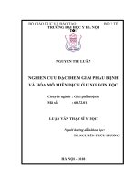 NGHIÊN cứu đặc điểm GIẢI PHẪU BỆNH và hóa mô MIỄN DỊCH ở u xơ đơn độc 