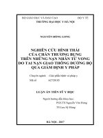 NGHIÊN cứu HÌNH THÁI của CHẤN THƯƠNG BỤNG TRÊN NHỮNG nạn NHÂN tử VONG DO TAI nạn GIAO THÔNG ĐƯỜNG bộ QUA GIÁM ĐỊNH y PHÁP 