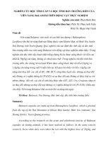 NGHIÊN cứu độc TÍNH cấp và độc TÍNH bán TRƯỜNG DIỄN của VIÊN NANG BALANOXI TRÊN ĐỘNG vật THỰC NGHIỆM 