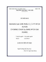 NGHIÊN cứu GIẢI PHẪU các vạt MẠCH XUYÊN cơ BỤNG CHÂN và ĐỘNG MẠCH gối XUỐNG 