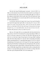 Nghiên cứu đặc điểm hình ảnh và vai trò của cộng hưởng từ trước và sau điều trị ung thư vòm họng 