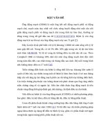 ĐÁNH GIÁ kết QUẢ PHẪU THUẬT nội SOI cặp ỐNG ĐỘNG MẠCH BẰNG CLIP ở TRẺ EM tại BỆNH VIỆN NHI TRUNG ƯƠNG 