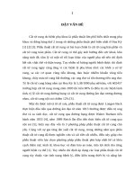 Giải phẫu cơ quan sinh dục nữ liên quan đến cắt tử cung 