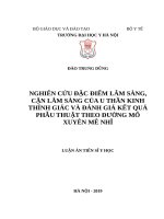NGHIÊN cứu đặc điểm lâm SÀNG, cận lâm SÀNG CỦA u THẦN KINH THÍNH GIÁC VÀ ĐÁNH GIÁ kết QUẢ PHẪU THUẬT THEO ĐƯỜNG mổ XUYÊN mê NHĨ 