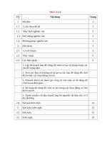 Một số biện pháp làm và sử dụng đồ dùng, đồ chơi tự tạo vào giảng dạy trẻ trong trường mầm non 